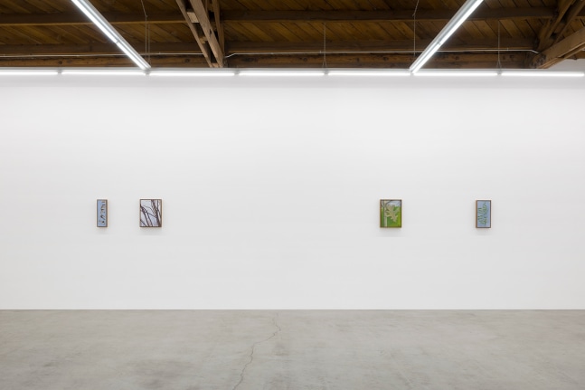 Lois Dodd | Ellen Siebers