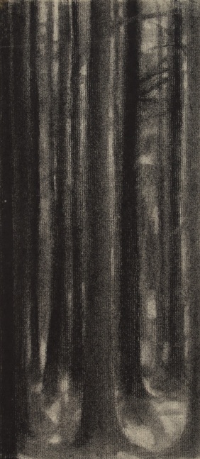 Untitled, c. 1955, charcoal on paper, 13 1/2 x 6 1/8 inches