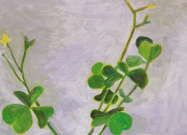 Painting of two yellow flowering plants on a lavender ground