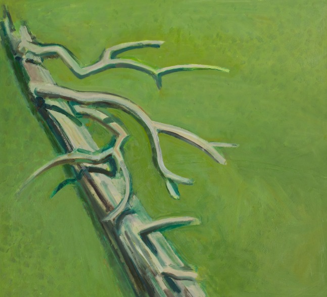 Tree Remnant, 2024, oil on Masonite, 16 x 17 1/2 inches