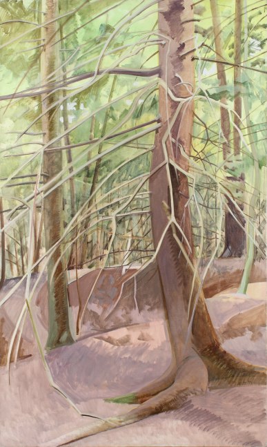 Lois Dodd, Skowhegan Woods, 1979, oil on linen, 60 x 36 inches