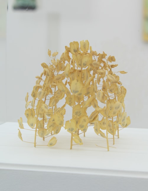Photo of a small, domed sculpture made out of tiny yellow plants