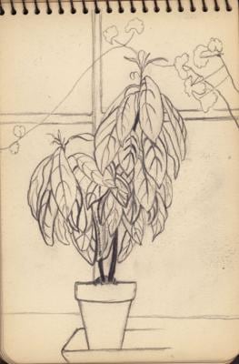 Untitled, c. 1930-1932, graphite on paper, 5 3/4 x 3 7/8&amp;nbsp;