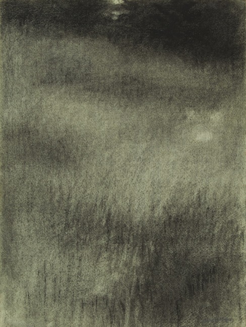 Field I, charcoal on paper, 13 3/8 x 10 inches