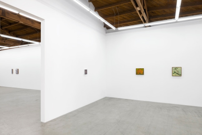 Lois Dodd | Ellen Siebers