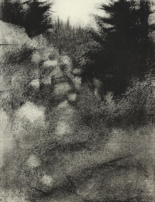 Atmospheric charcoal landscape drawing of a meadow with dark trees in the background