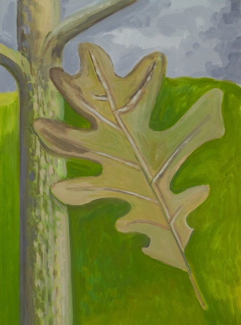 Lois Dodd, Oak Leaf + Tree Trunk, 2024, oil on Masonite, 16 x 11 7/8 inches
