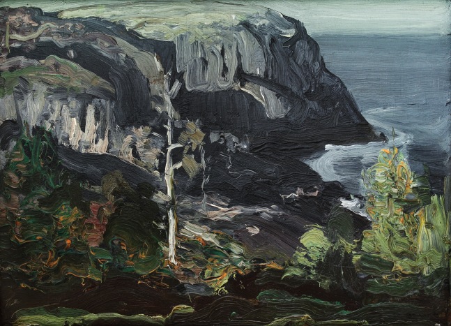 Landscape painting of a dark cliff with the sea in the background and green plant-forms in the foreground