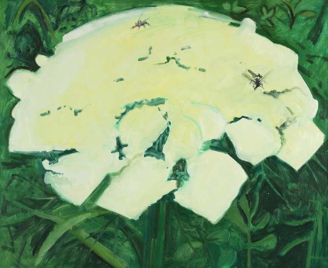 Painting of three flies on a white flower-head in the grass