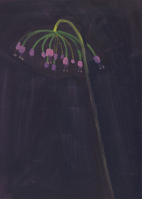 Painting of a seed-head with pink buds on a dark violet ground