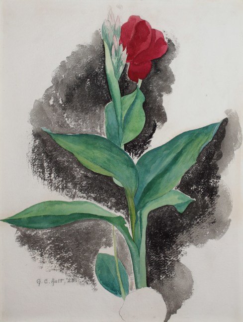 A Lily, 1928, watercolor on wove paper, 20 x 15 1/4 inches