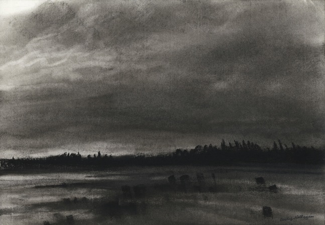 Charcoal landscape drawing of a dark, cloudy sky, a tree-lined shore, and water with dark objects floating in it