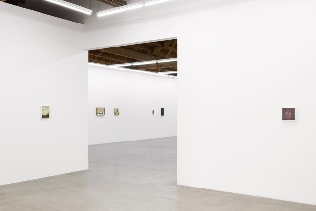 Lois Dodd | Ellen Siebers