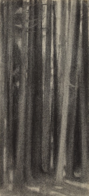 Woods near Preble Cove II, c. 1958, charcoal on paper, 13 1/2 x 6 1/8 inches