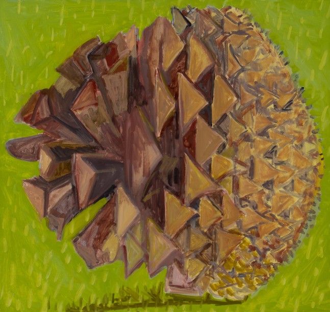 Lois Dodd, Pine Cone, 2023, oil on panel, 15 x 16 inches