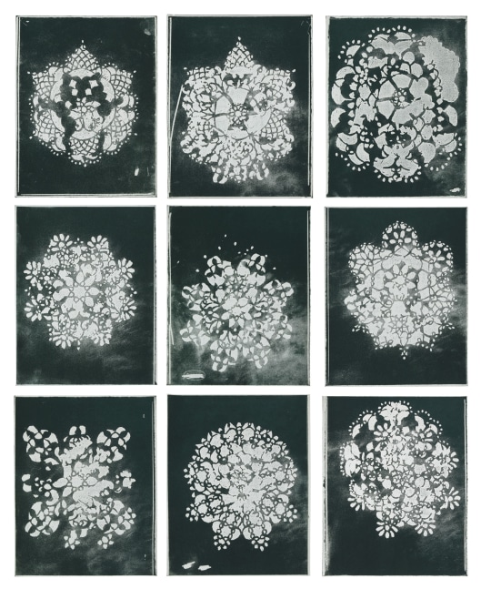 Grid of nine framed prints, each with a variation of a lacy, white geometric floral form centered on a smoky grey and black ground