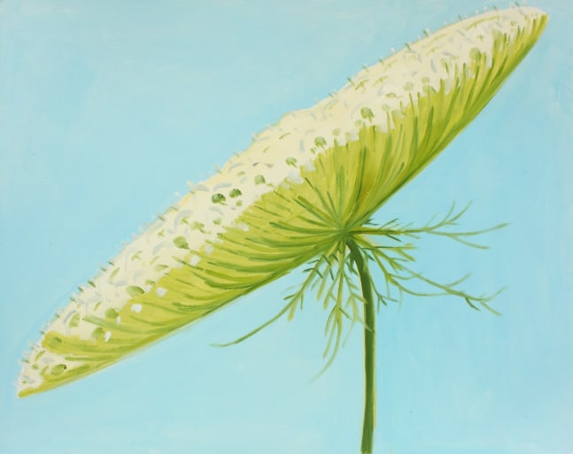 Painting of a white flower head and a light blue sky in the background