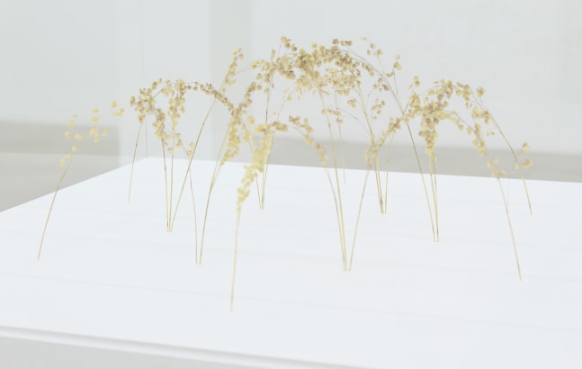 Christiane L&amp;ouml;hr, Gro&amp;szlig;e Bogenform / Big Arch Form, 2011, plant stalks, 5 1/2 x 15 3/4 x 15 3/4 inches
Courtesy of the artist and Jason McCoy Gallery