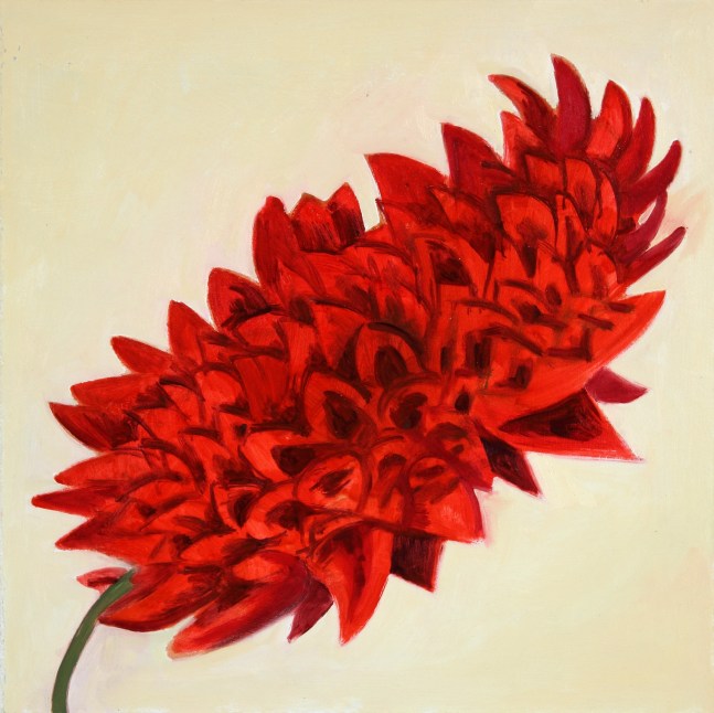 Painting of a red flowering plant against a pale yellow ground