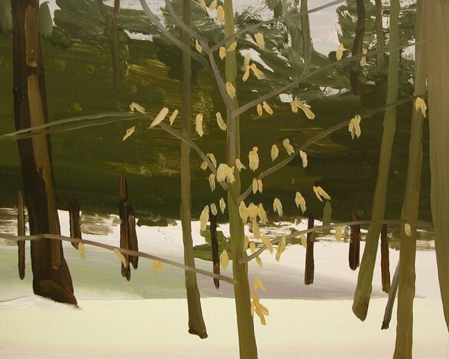 Snow and Pine Trees, 2005, oil on Masonite, 13 x 16 inches