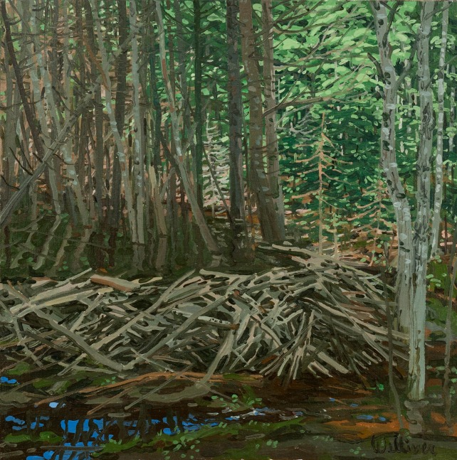 Landscape painting of a beaver dam inside of a thickly wooded forest