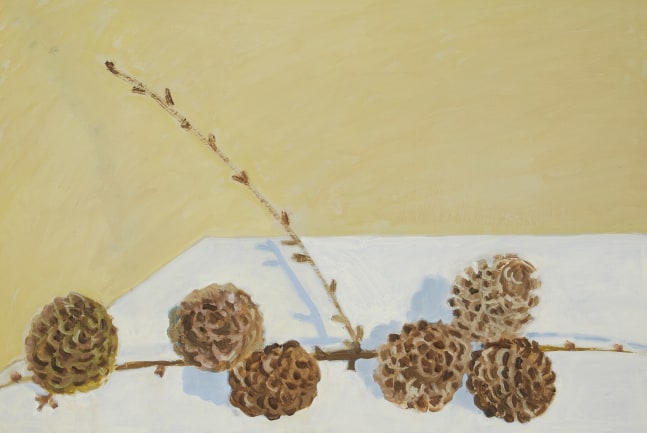 Lois Dodd, 6 Seed Cones, 2024, oil on Masonite, 11 3/4 x 17 5/8 inches