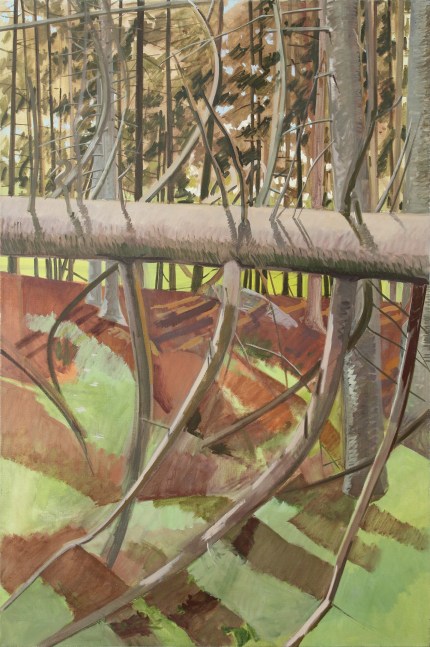 Fallen Tree Section, 1980, oil on linen, 60 x 40 inches