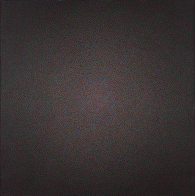 Daisy Newman, 1984-1985, oil on canvas, 44 x 44 inches