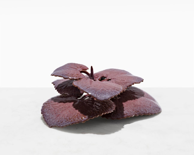 MARIANNE NIELSEN
Garlic Mustard, 2024
Glazed stoneware
4&amp;rdquo; H x 9&amp;rdquo; W x 8.75&amp;rdquo; D