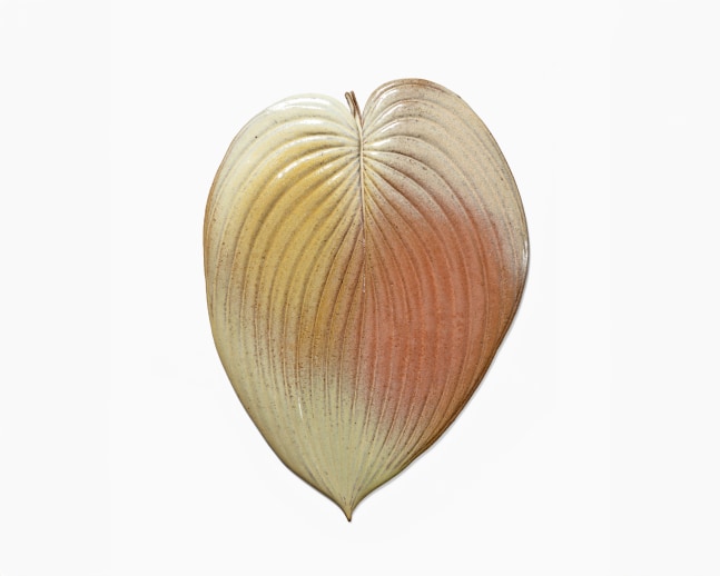 MARIANNE NIELSEN
Hosta, 2024
Glazed stoneware
19&amp;quot; H x 14&amp;quot; W