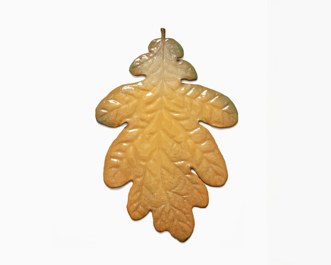 MARIANNE NIELSEN
Oak, 2023
Glazed stoneware
18&amp;quot; H x 12&amp;quot; W