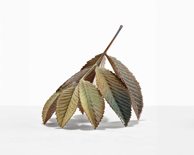 MARIANNE NIELSEN
Large Leaves, 2023
Glazed stoneware
10.25&amp;rdquo; H x 10.75&amp;rdquo; L x 9&amp;rdquo; L