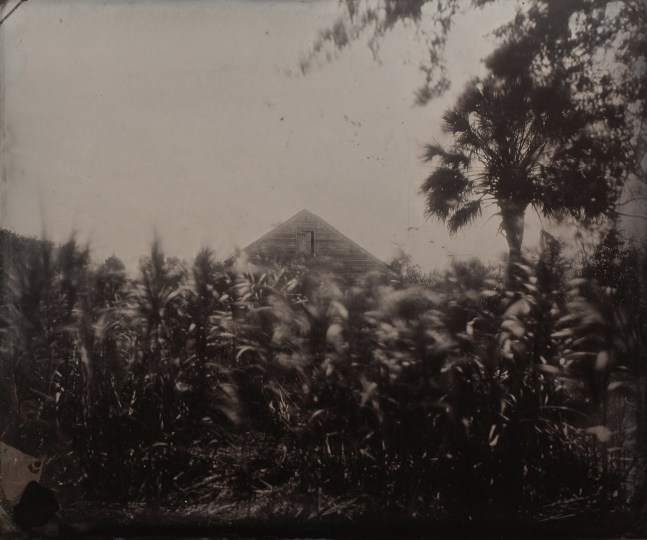 Thursday, April 24, 5:30pm
Onsite VIP Tour: Rashod Tayor and Obscura Gallery
643 Park Ave, New York, NY 10065

&amp;nbsp;

Join photographer Rashod Tayor and Obscura Gallery for a VIP tour of Taylor&amp;#39;s favorite works on view at The Photography Show 2025.&amp;nbsp;


Rashod Taylor is a fine art and portrait photographer whose work addresses themes of family, intimacy, legacy, and the black experience. At this edition of The Photography Show, Obscura Gallery presents Rashod Taylor&amp;#39;s &amp;lsquo;My America&amp;rsquo;, a meditation on history and its undeniable grip on the present. On &amp;#39;My America&amp;#39;, Taylor says, &amp;quot;As a Black man with deep family ties to military service, my great-uncle Lecky Taylor served in WWII, alongside many of my cousins in future generations, I often ask, what is patriotism? How does one fight for a country that denies them dignity? This tension runs through my work, exposing the ways racism, inequality, and injustice are not relics of the past but forces still shaping Black life today.&amp;quot;


&amp;nbsp;Taylor&amp;#39;s photographs are part of the permanent collections of the Smithsonian&amp;rsquo;s National Museum of African American History &amp;amp; Culture, The Library of Congress Prints &amp;amp; Photographs Division, The Museum of Fine Arts Houston and The Nelson-Atkins Museum of Art.

&amp;nbsp;

Event capacity: 20

&amp;nbsp;

RSVP here


Image: Rashod Taylor, Sugar Cane, Whitney Plantation, 2024, 20 x 24&amp;quot;, unique tintype