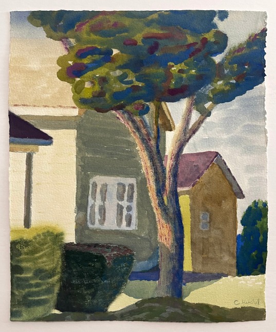 Neighbors Tree, Evening Light