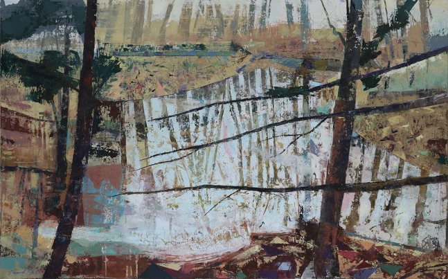 David Reed Forest Backwater
