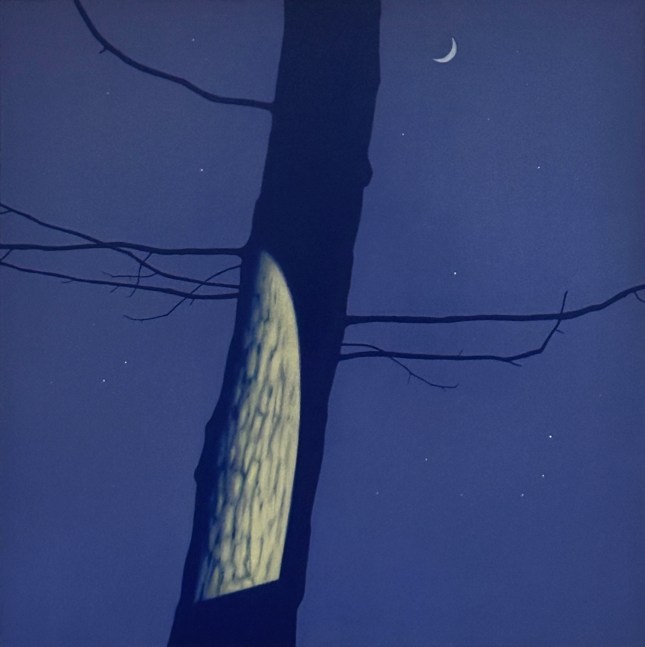 Illuminated Tree with Crescent Moon