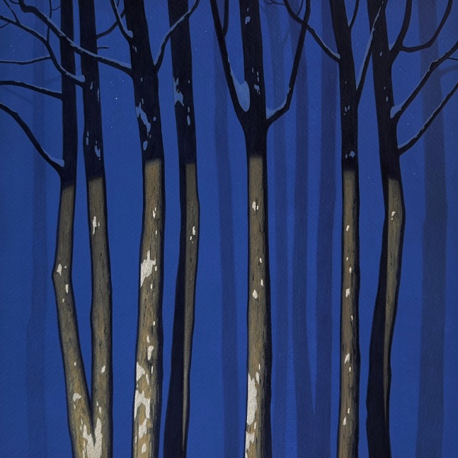 Snow Covered Grove