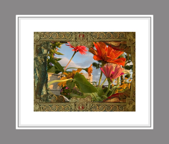 Fleur de Lumiére