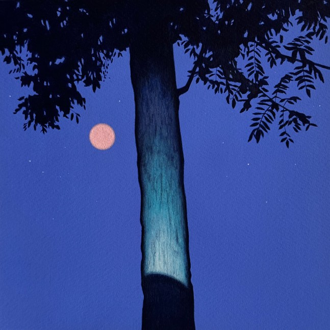 Pink Moon