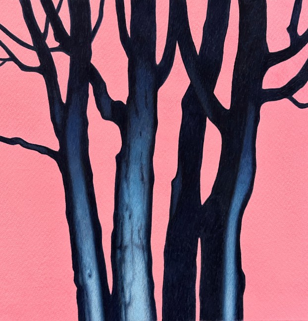 Trio with Coral Evening Sky