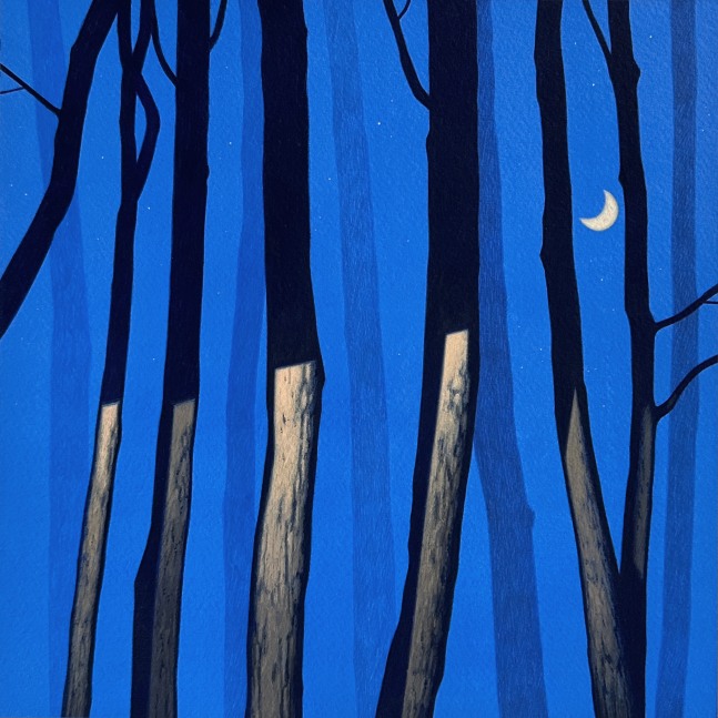Illuminated Grove 3