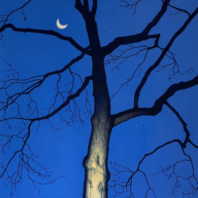Illuminated Tree with Crescent Moon