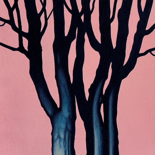 Trio with Pink Evening Sky