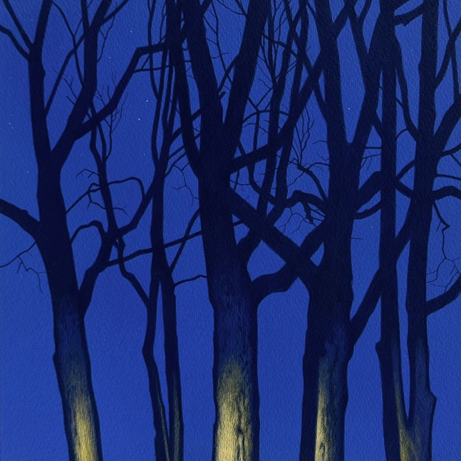 Illuminated Grove 4
