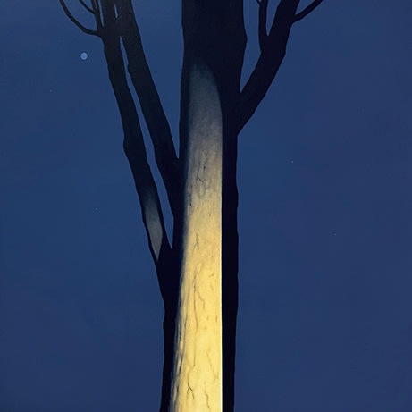 Illuminated Solo 3