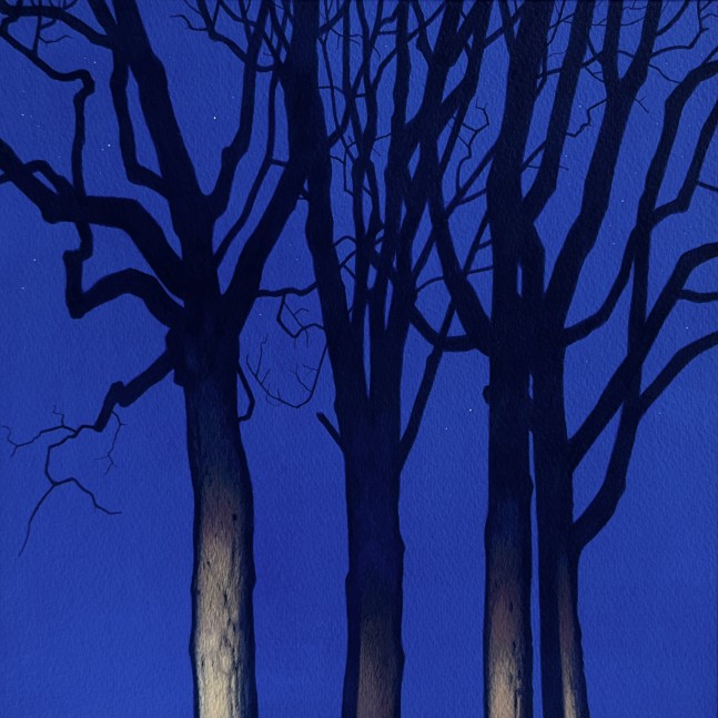 Illuminated Grove 5