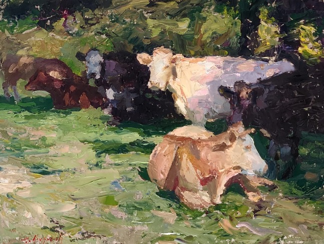 Resposing Cattle