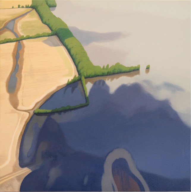 Flooded Landscape 1