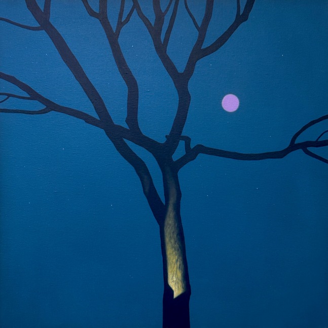 Lavender Moon