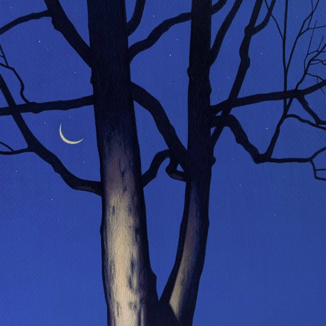 Illuminated Tree with Crescent Moon 2